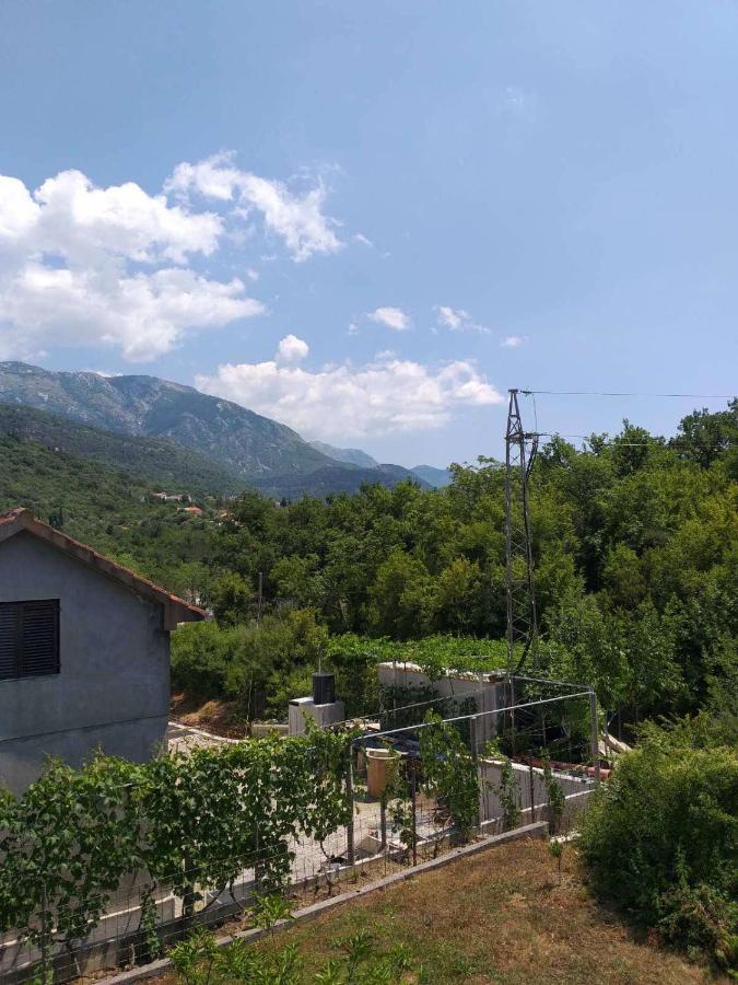 Apartment Davidovic Tivat Ngoại thất bức ảnh